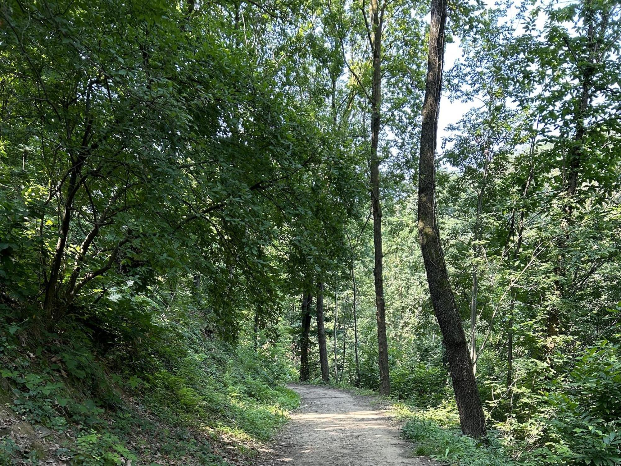 Ferienwohnung Il Giardino Di Berbech Citta Alta-Ulivo Bergamo Exterior foto